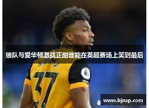 狼队与爱华顿激战正酣谁能在英超赛场上笑到最后